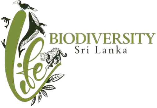 Biodiversity Sri Lanka Company Logo