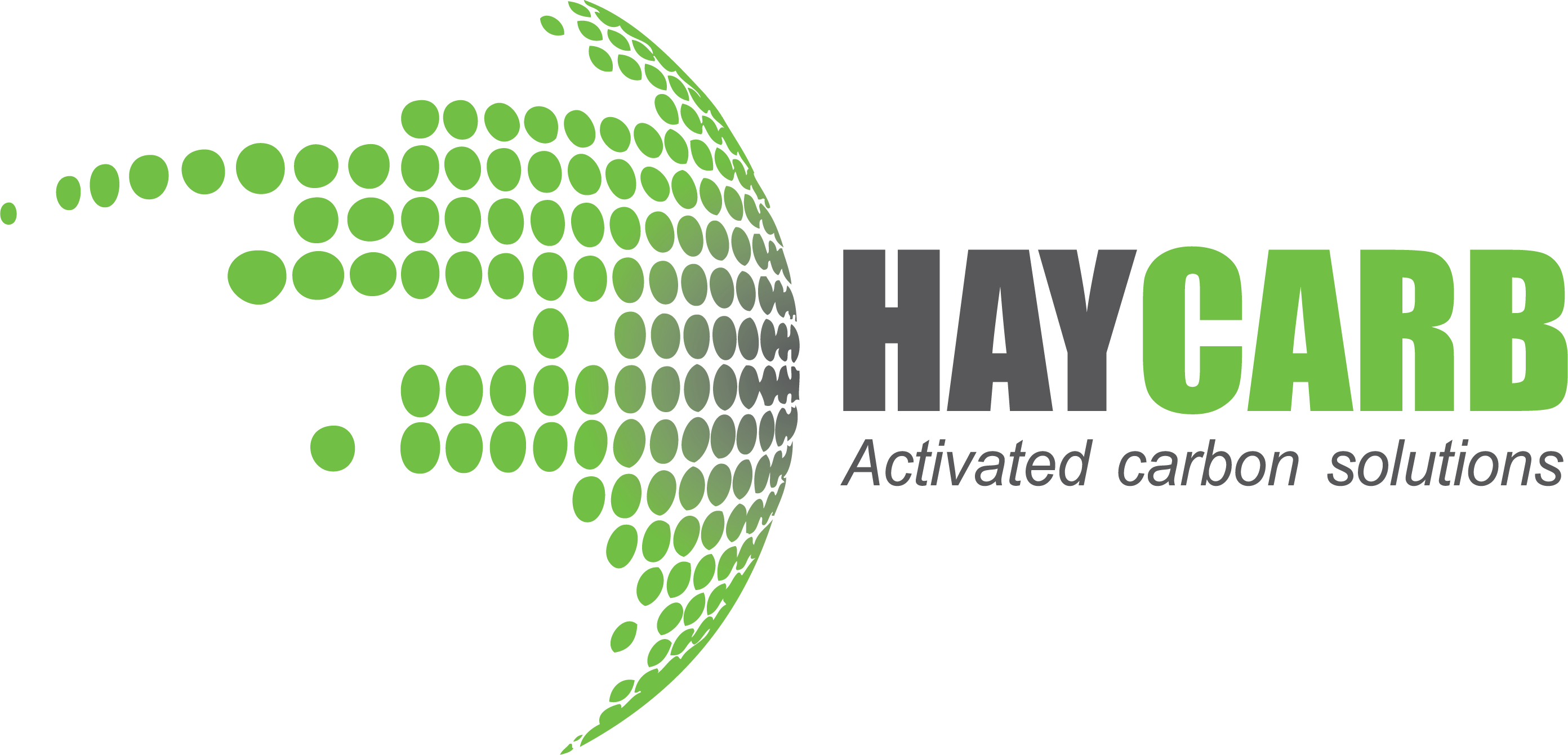 Haycarb company logo, a partner of Biodiversity Sri Lanka